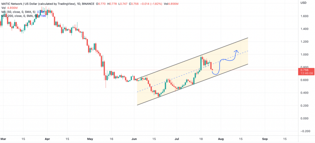 比特币为反弹做准备，LTC、MATIC可能最快