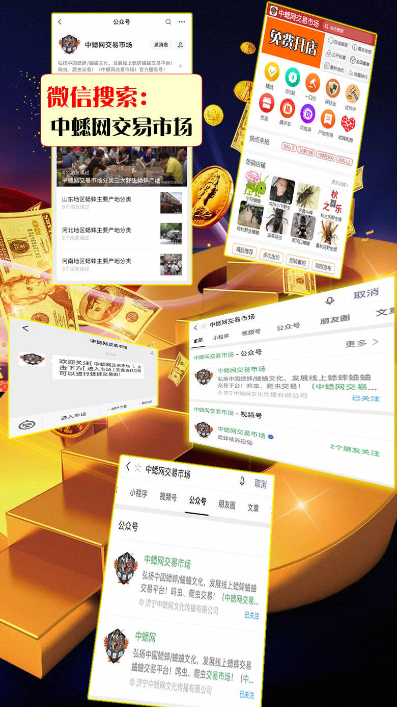 蟋蟀蛐蛐买卖行情交易交流平台-中蟋网交易市场