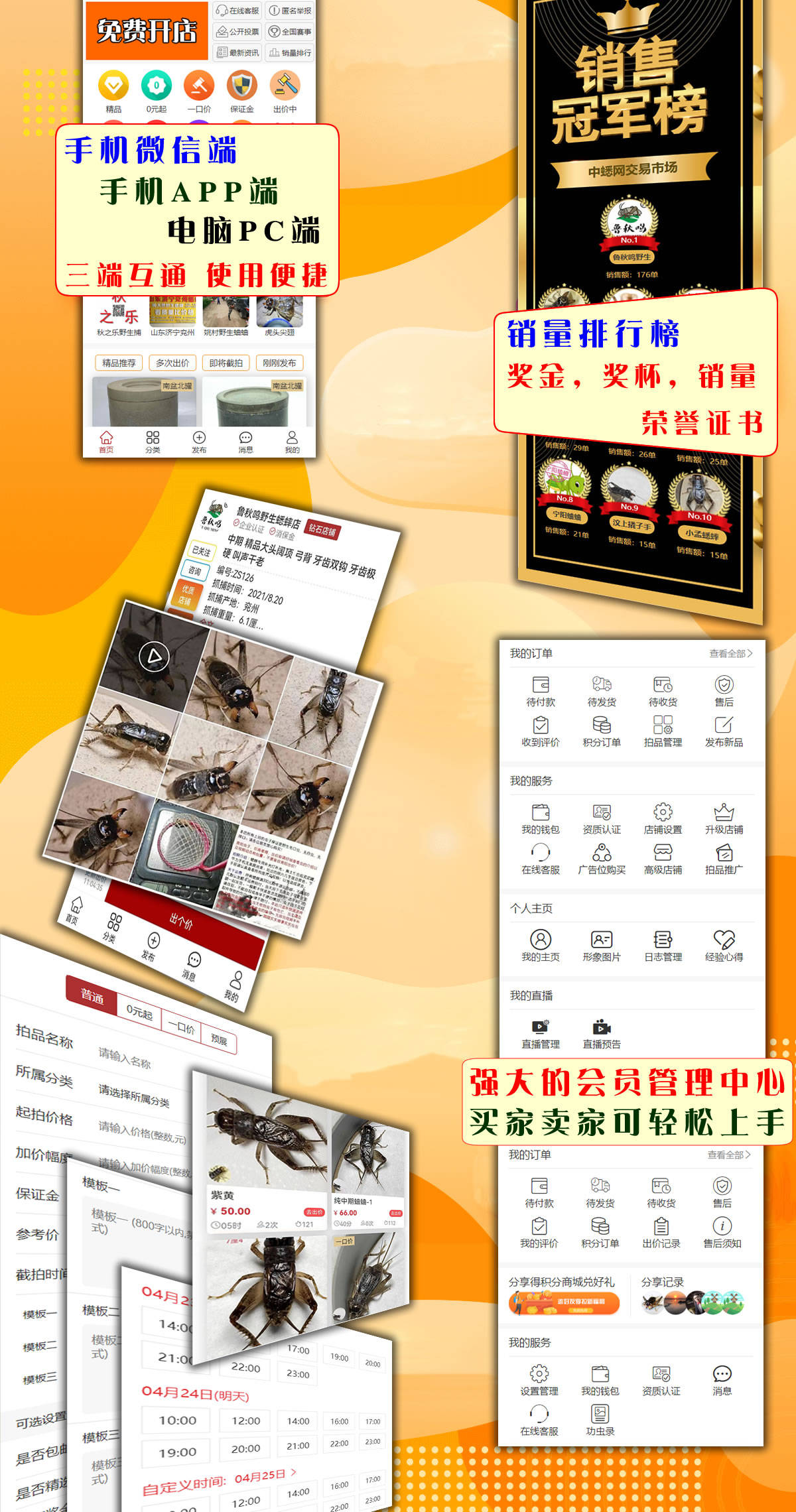 蟋蟀蛐蛐买卖行情交易交流平台-中蟋网交易市场