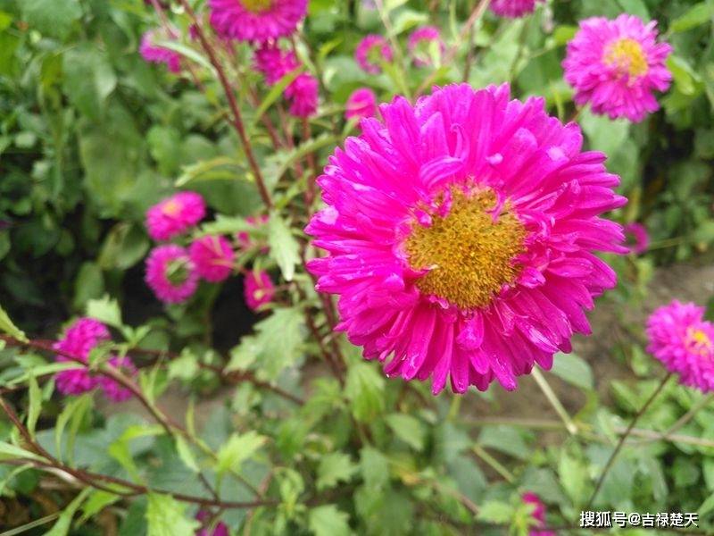 实数x,y有x^2-4xy+20y^2=3,求x+y的取值范围