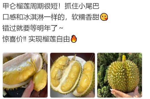 甲仑榴莲文案：甲仑榴莲水果文案朋友圈，水果甲仑榴莲的文案