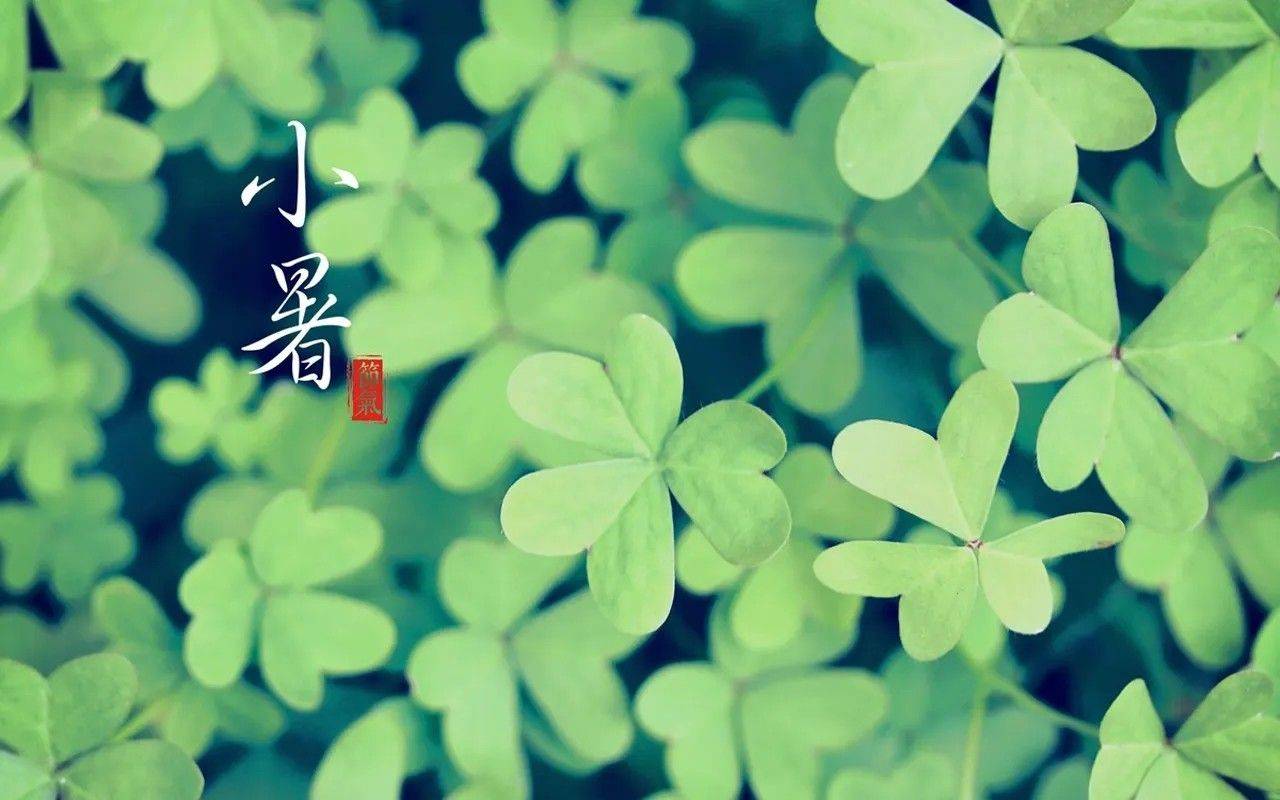 发行有变，热门新币或月末预约，书法币多人被坑