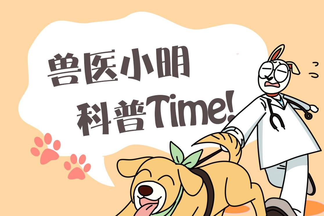 小区里看见一只流浪猫，朋友看见照片后打来电话：行走的人民币呀