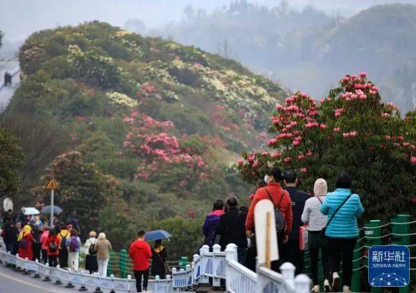 会员周报：Club Med地中海俱乐部落子成都辐射华西市场；上海与中国旅游集团签署战略合作协议…