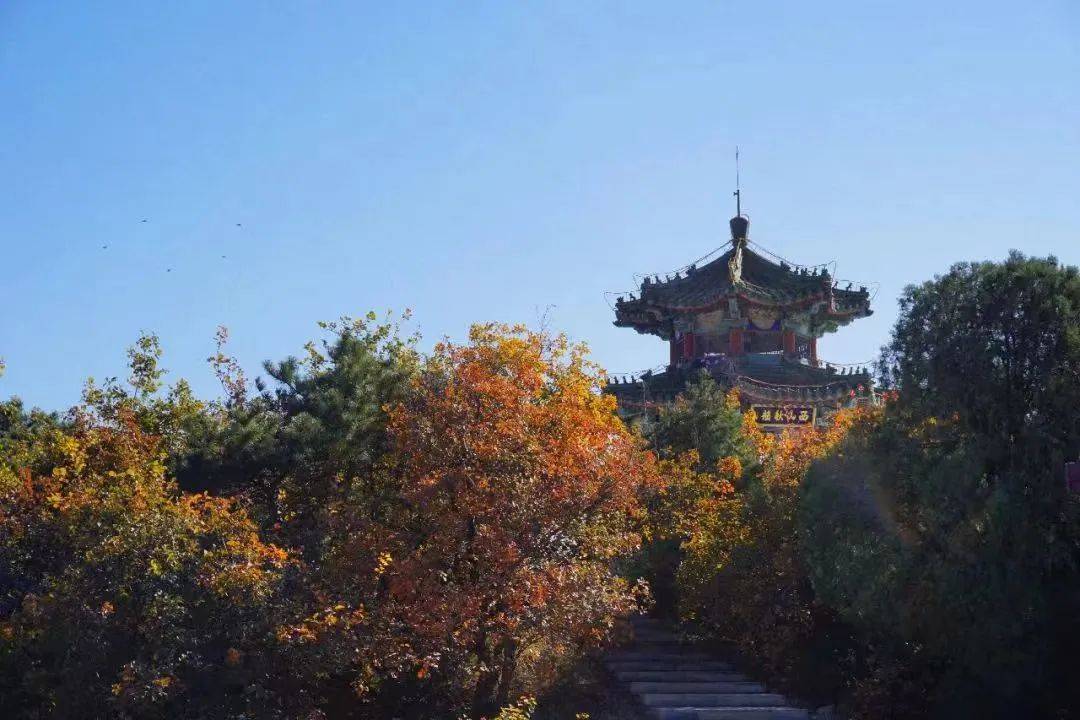 【双语新闻】数字文化16个行业年营业收入超4万亿元；今年北京硕博毕业生人数首超本科生......