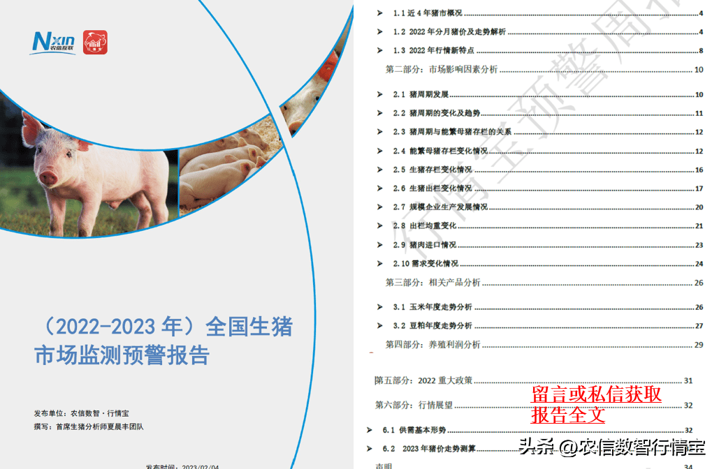 农业农村部：生猪存栏历史新高，玉米消费可期！今日玉米价格行情