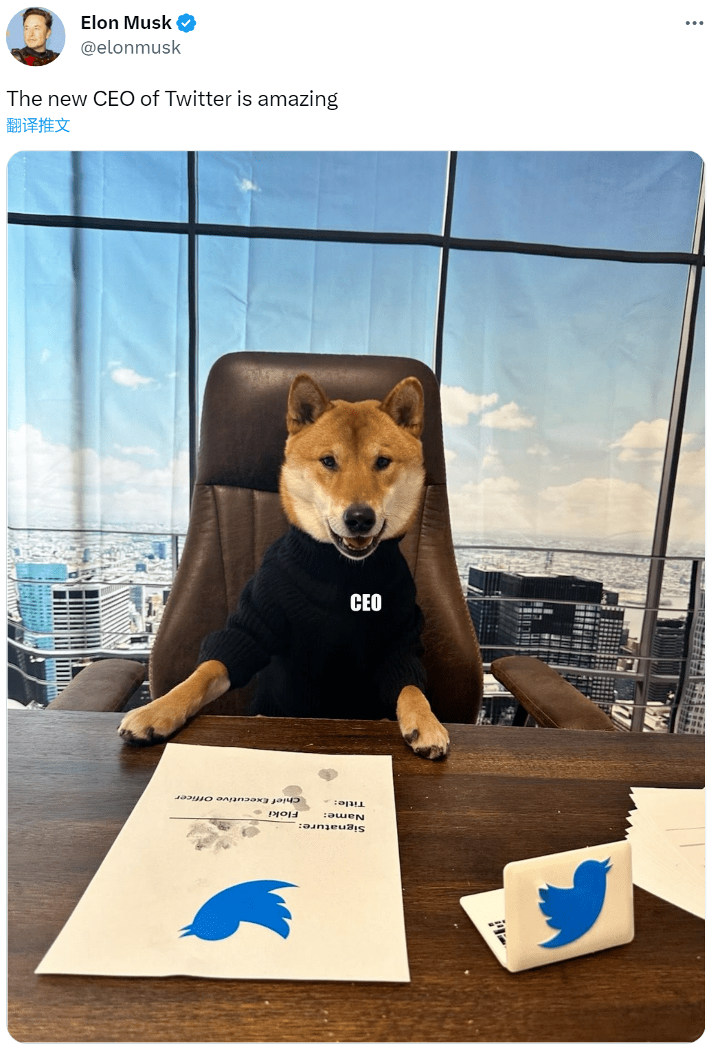突然变了！居然是狗......