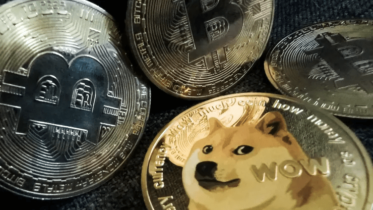 突然变了！居然是狗......
