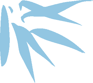 干货分享|如何快速学习深度学习？