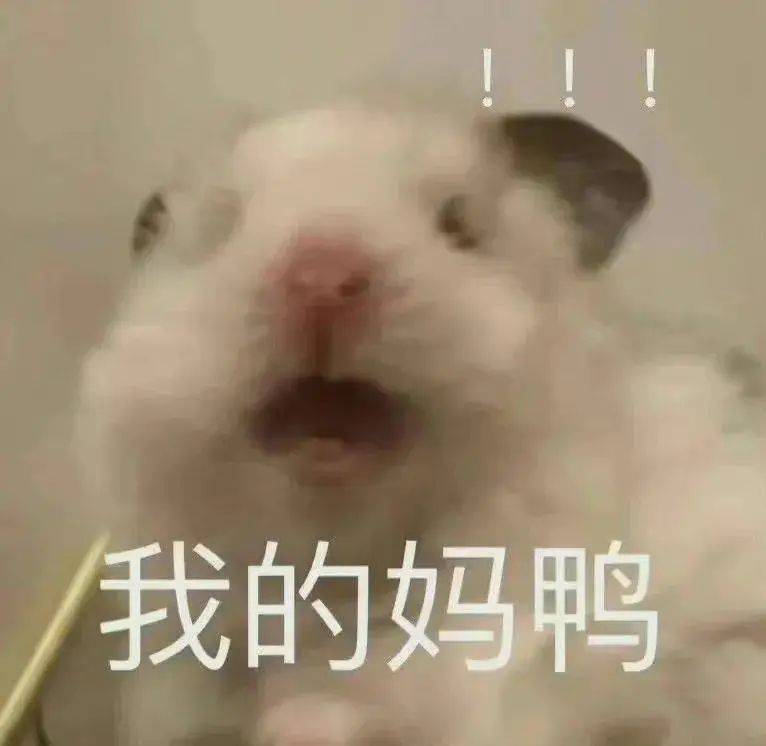 出分前暴雷！AP成绩大范围取消？