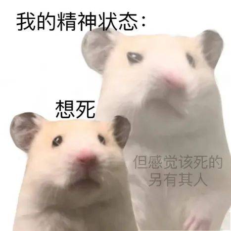 出分前暴雷！AP成绩大范围取消？