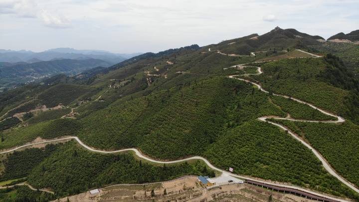 石阡：有风景的地方就有“绿色银行”