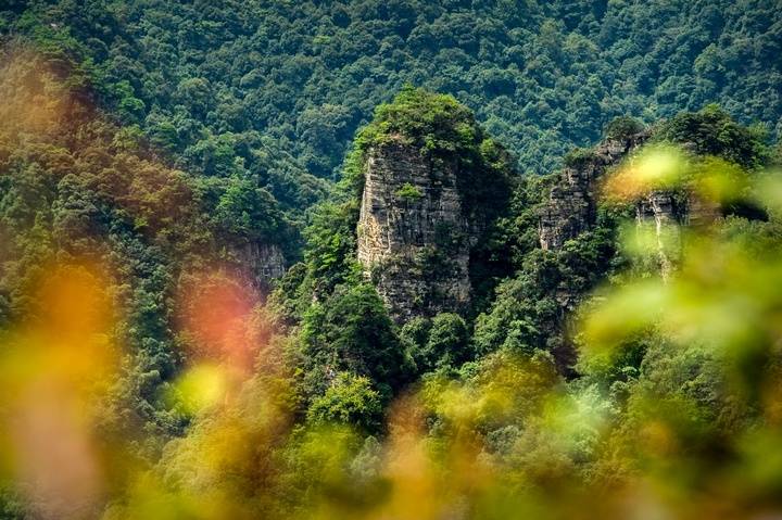 石阡：有风景的地方就有“绿色银行”