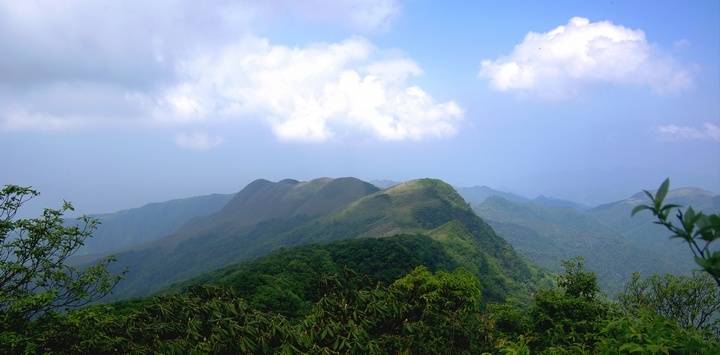 石阡：有风景的地方就有“绿色银行”