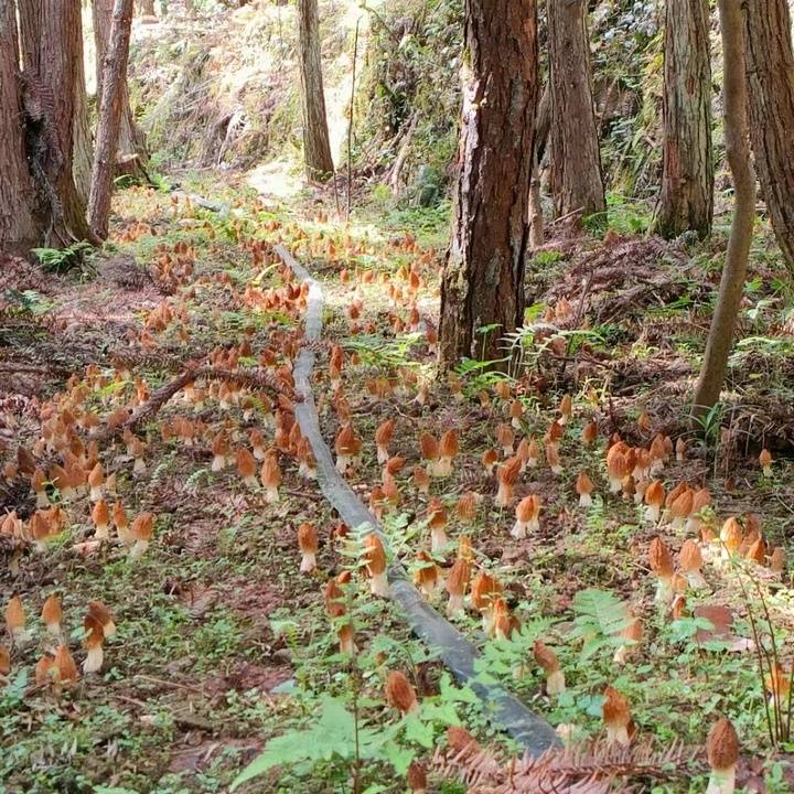 石阡：有风景的地方就有“绿色银行”
