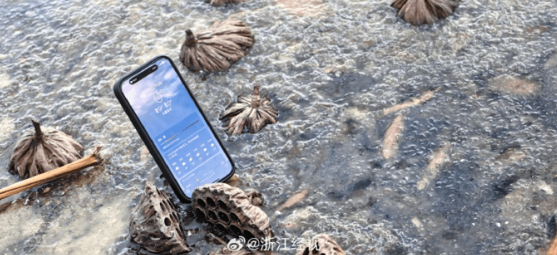 刚刚，西湖结冰了！杭州人挺住，接下来狂飙至22℃
