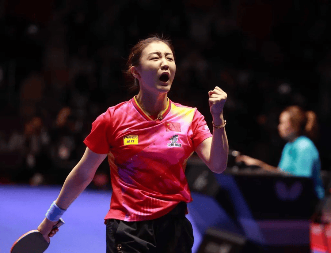 新规来了！樊振东、陈梦4月可直通WTT赛事