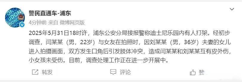 上海迪士尼游客打架，属地部门：因孩子进入对方取景框引起冲突