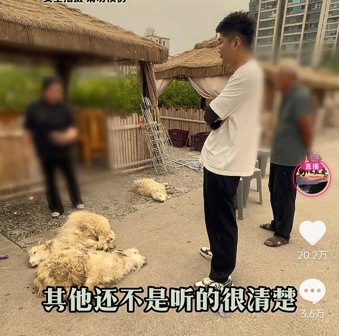 60斤活羊实际只有30多斤!博主打假重庆两家烤全羊店获“退一赔三”