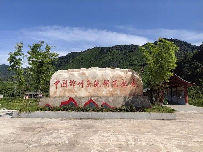 36年