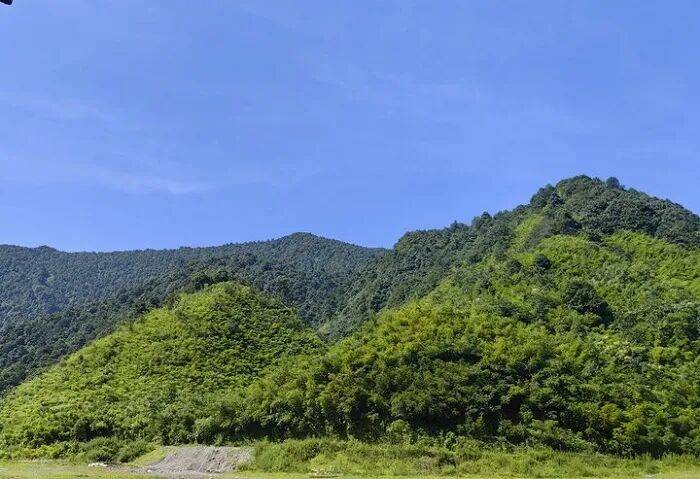 36年