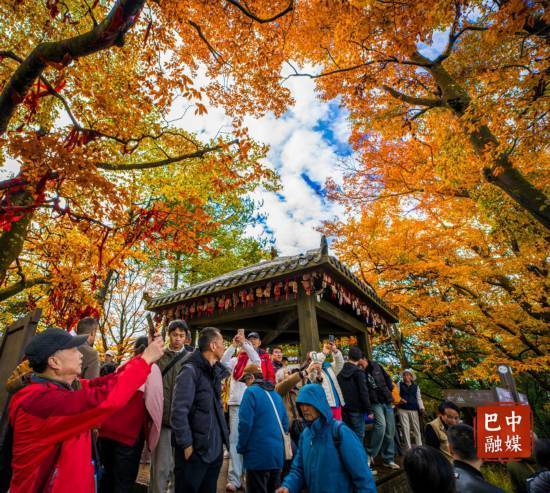 多图 ｜ 红叶遍山野 赏秋正当时 光雾山红叶进入最佳观赏期