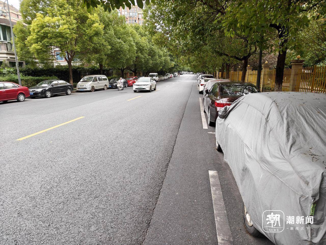 近三成疑似“僵尸车”,杭州这里的路边免费车位缘何成“停车场”