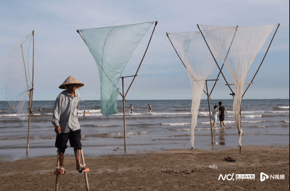 外交部赵立坚点赞湛江：渔网起落间，满舱鲜活载着晨光归来
