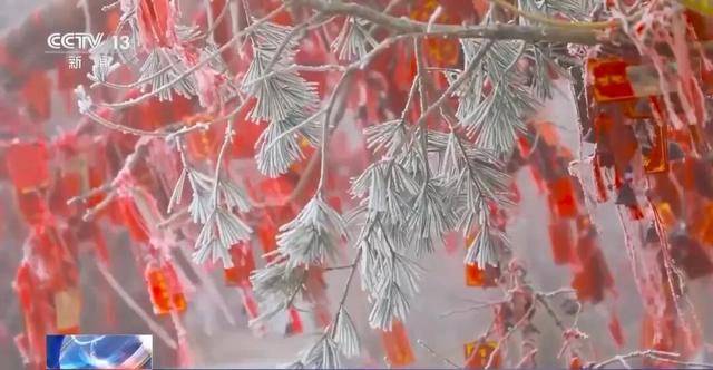 我国已经进入拉尼娜状态，专家：可能出现冬春连旱