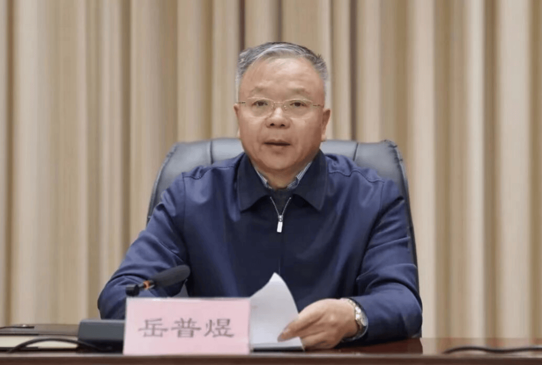 打虎！岳普煜被查